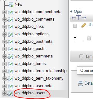 Tutorial Instalasi WordPress Di Cpanel Untuk Website Anda Disertai Gambar